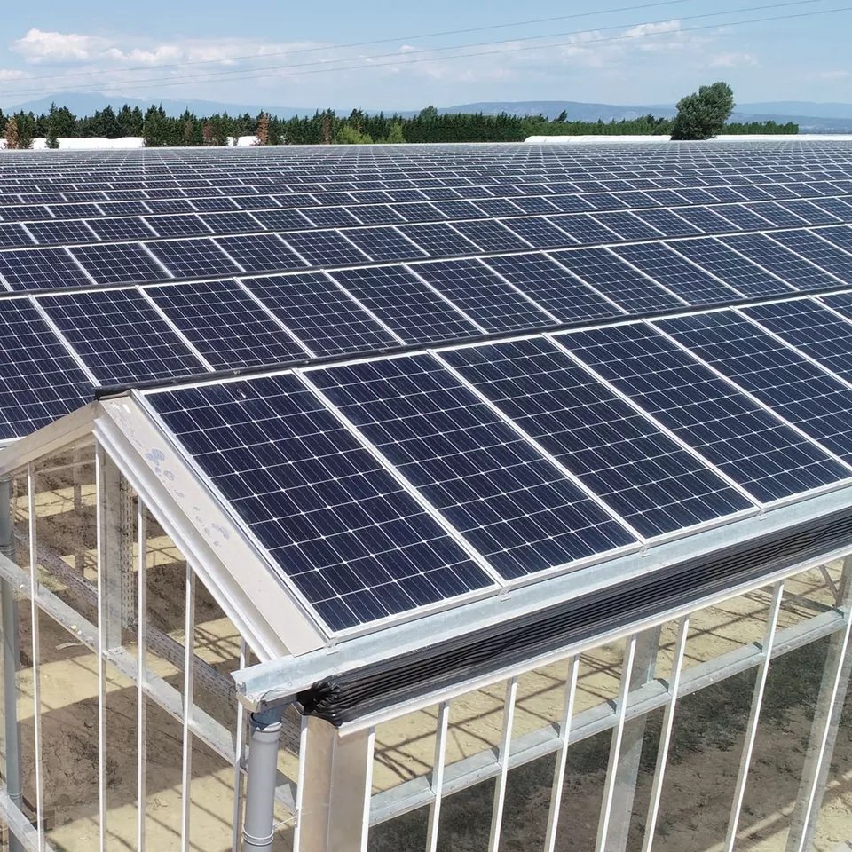 Solar Greenhouse to Use Easy Investment in The Most Cultivated Greenhouse