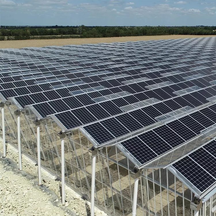 Solar Greenhouse to Use Easy Investment in The Most Cultivated Greenhouse