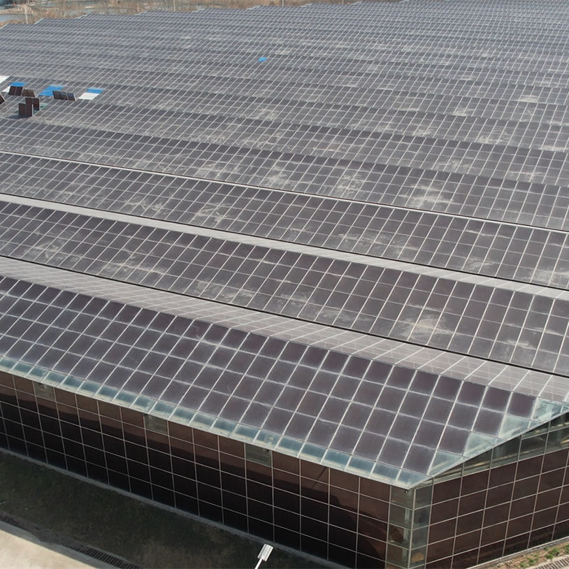 Solar Greenhouse to Use Easy Investment in The Most Cultivated Greenhouse