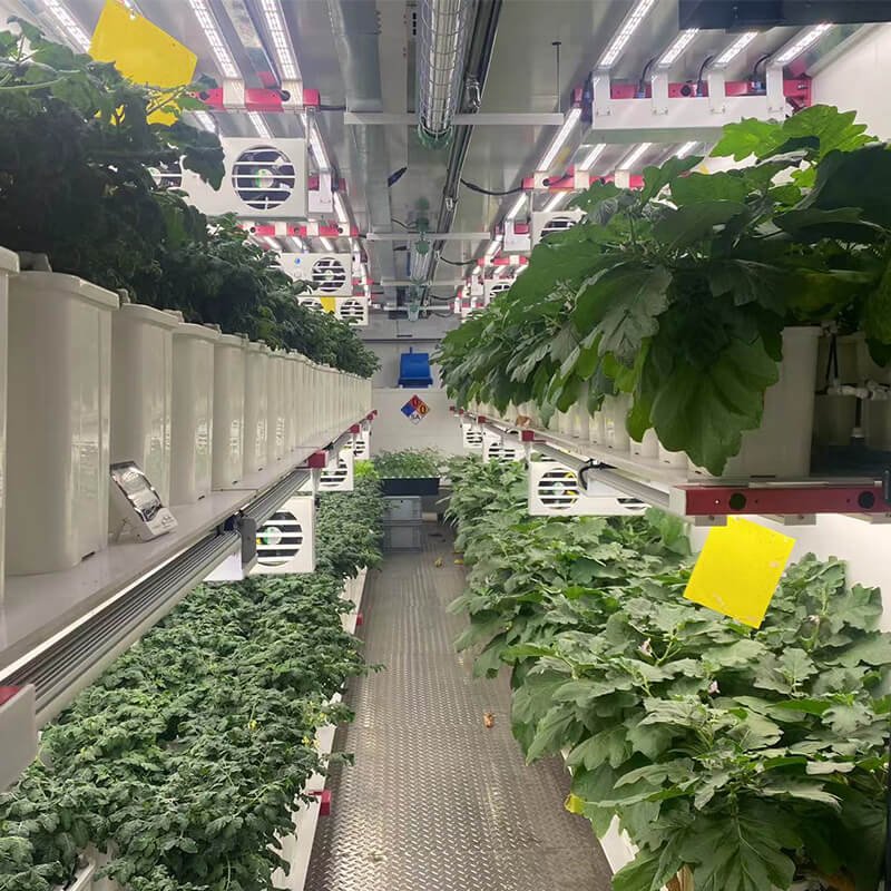 smart farm grow hydroponic vertical farming system 40ft shipping container farm greenhouse for medical plants, herbs, lettuce
