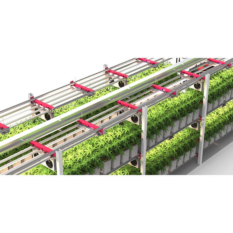 smart farm grow hydroponic vertical farming system 40ft shipping container farm greenhouse for medical plants, herbs, lettuce