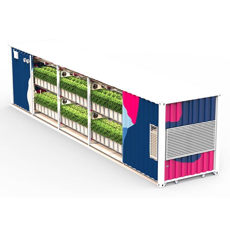 smart farm grow hydroponic vertical farming system 40ft shipping container farm greenhouse for medical plants, herbs, lettuce