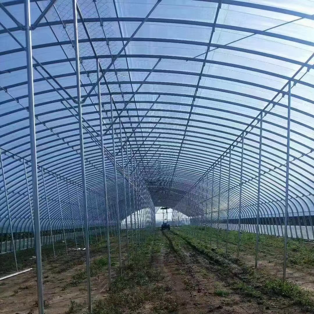 The overall design and sales of new agricultural greenhouses from China