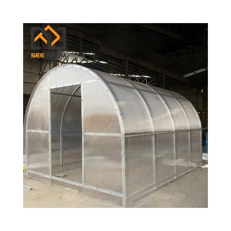 Small Mini Low Cost Hot Galvanized Pipes Frame Polycarbonate Commercial Backyard Garden Greenhouses