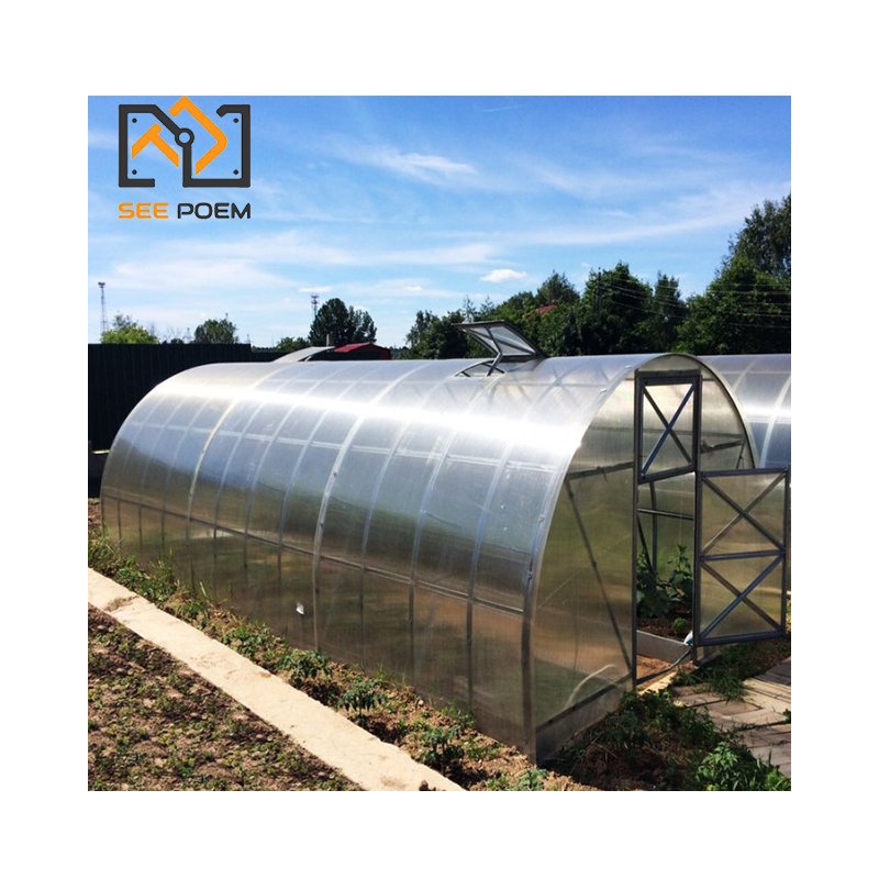 Small Mini Low Cost Hot Galvanized Pipes Frame Polycarbonate Commercial Backyard Garden Greenhouses