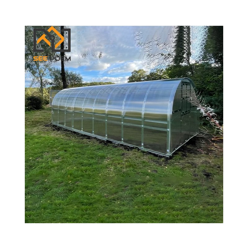 Small Mini Low Cost Hot Galvanized Pipes Frame Polycarbonate Commercial Backyard Garden Greenhouses