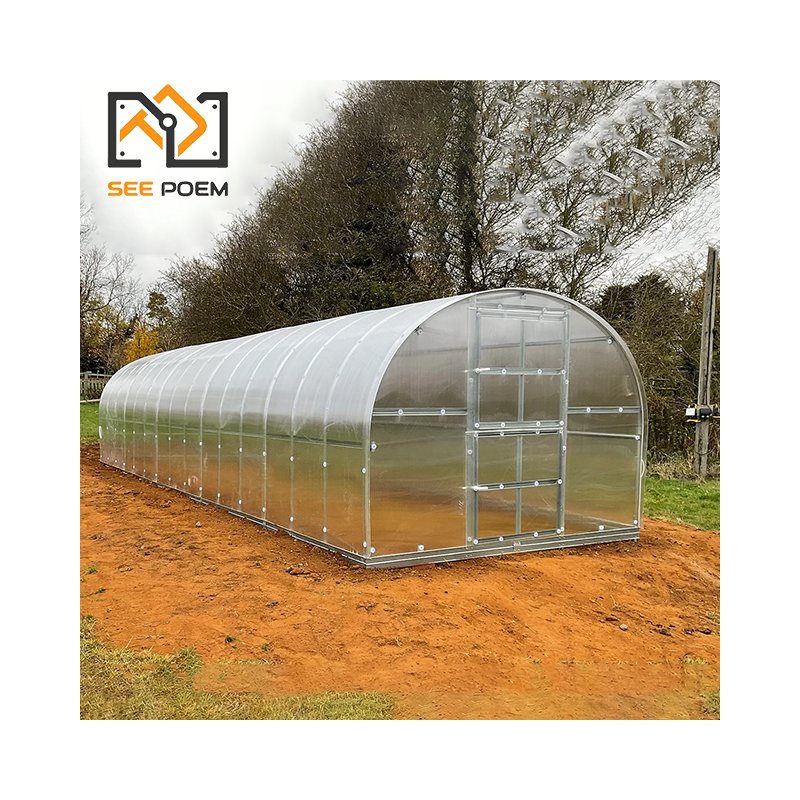 Small Mini Low Cost Hot Galvanized Pipes Frame Polycarbonate Commercial Backyard Garden Greenhouses