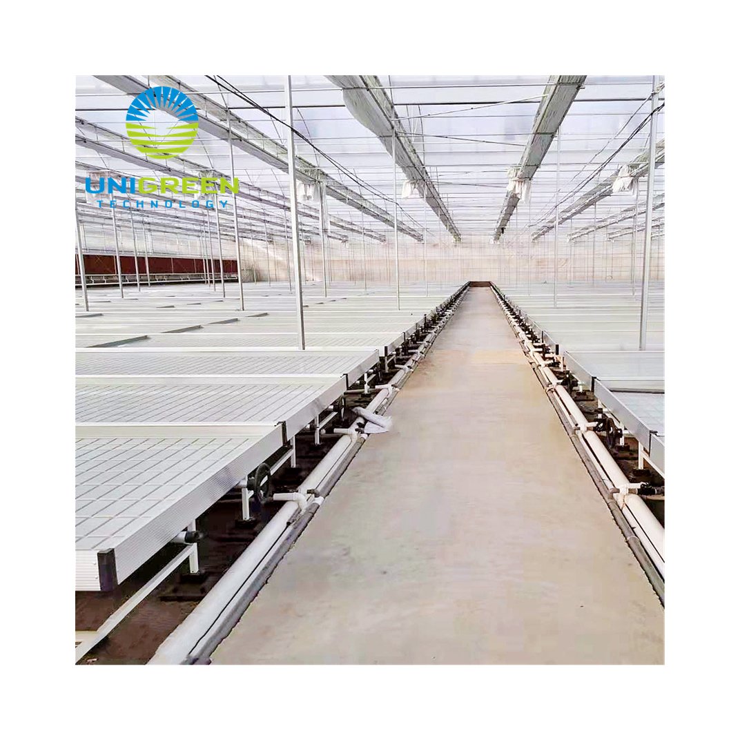 Abs Ebb And Flow Seedbed Rolling Bench And Table 5' 4' ABS Ebb and Flood Tray With Grow Stand For Hydroponics Greenhouse System