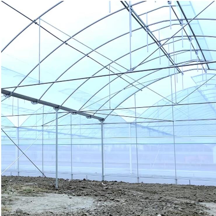China supply cheap steel structure vegetable greenhouse for hydroponics growing system