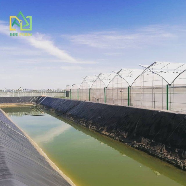 Multi-Span Commercial Shade Green House Hydroponic Systems Film Agricultural Greenhouse