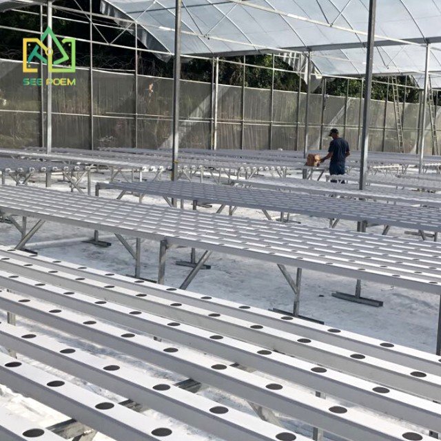 Multi-Span Commercial Shade Green House Hydroponic Systems Film Agricultural Greenhouse