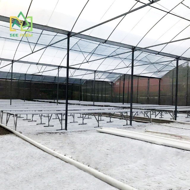Multi-Span Commercial Shade Green House Hydroponic Systems Film Agricultural Greenhouse