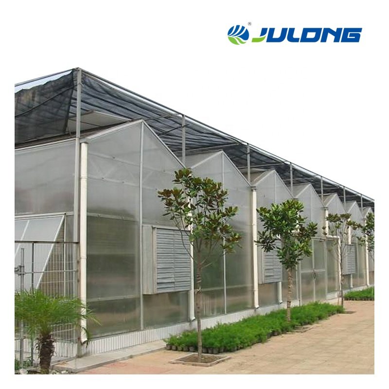Low cost agricultural multi-span polycarbonate sheet green houses with hydroponic growing system