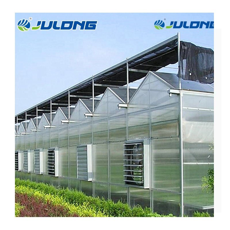 Low cost agricultural multi-span polycarbonate sheet green houses with hydroponic growing system