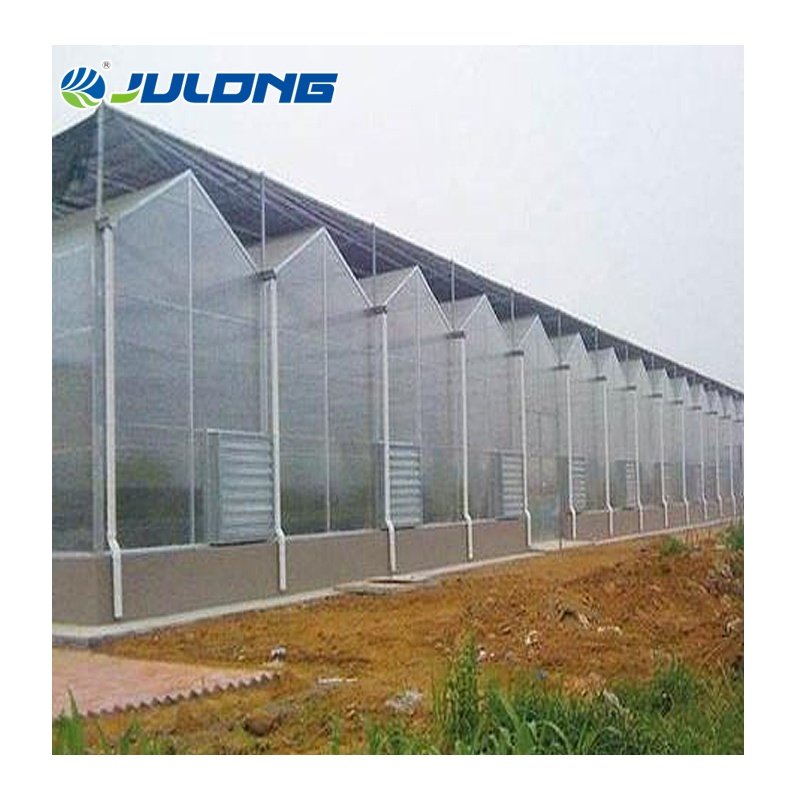 Low cost agricultural multi-span polycarbonate sheet green houses with hydroponic growing system