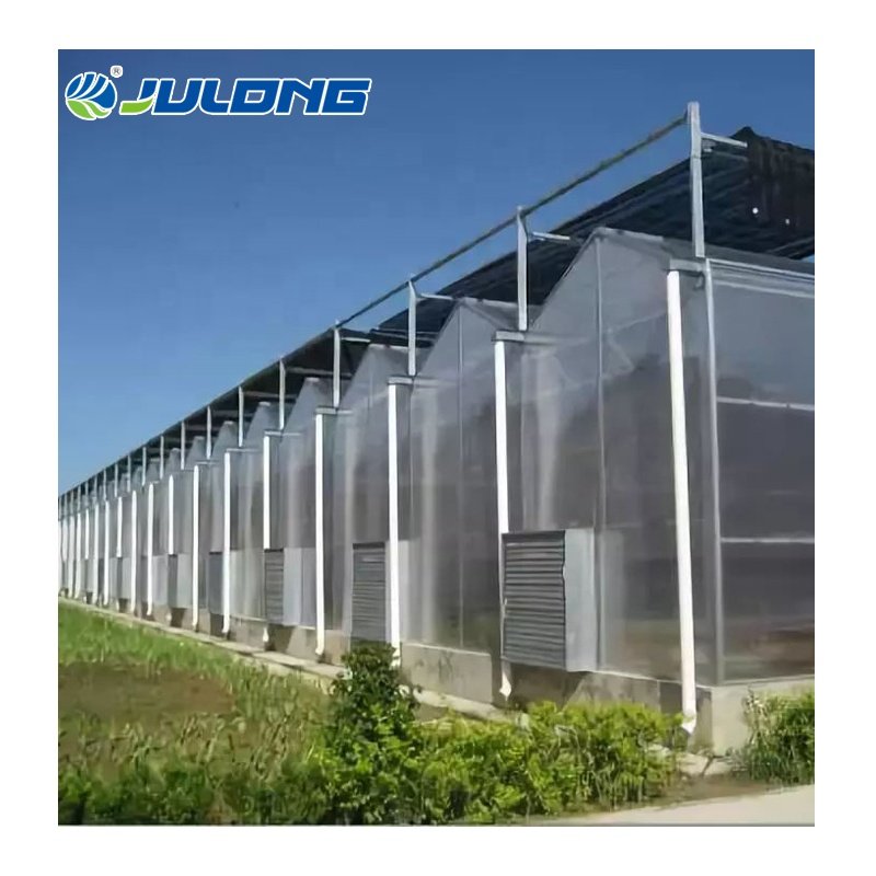 Low cost agricultural multi-span polycarbonate sheet green houses with hydroponic growing system
