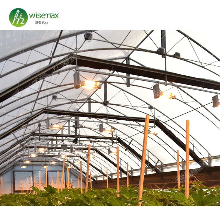 Medical planting agricultural greenhouse with blackout curtain