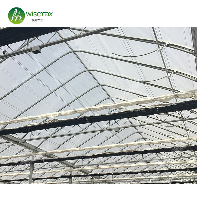 Medical planting agricultural greenhouse with blackout curtain