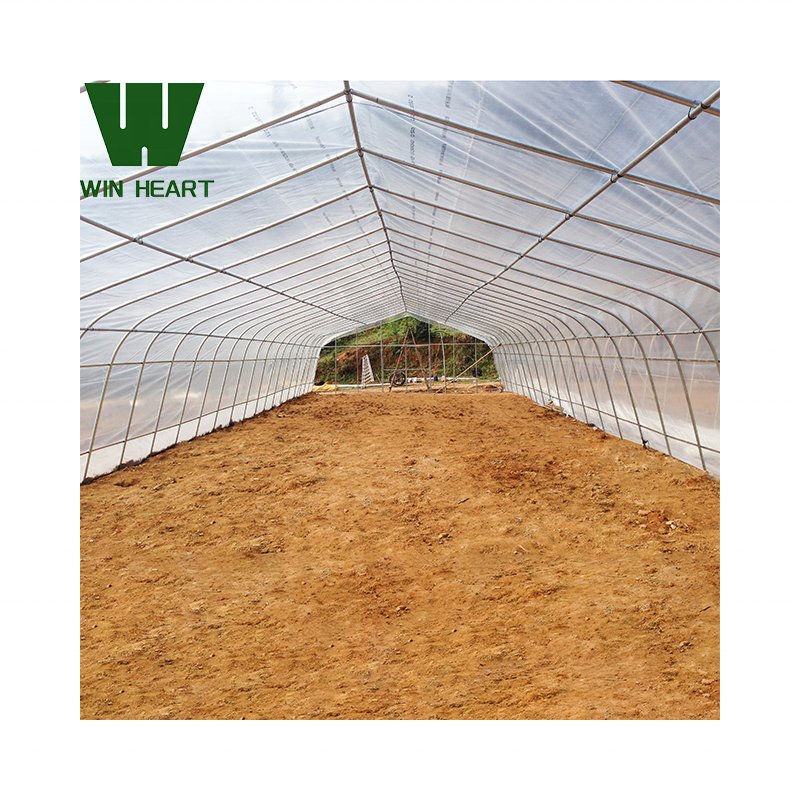 Single Tunnel Greenhouses for Vegetables growing