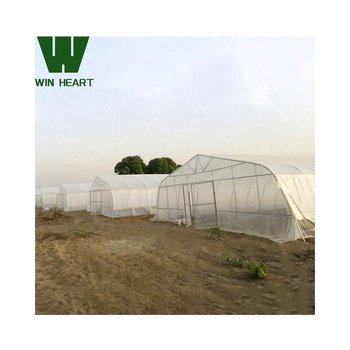 Single Tunnel Greenhouses for Vegetables growing