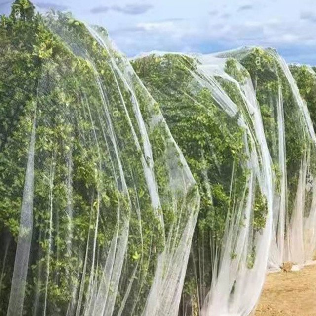 Plastic anti bird/Hail/Insect net, plants protection net manufacturer for agriculture greenhouse