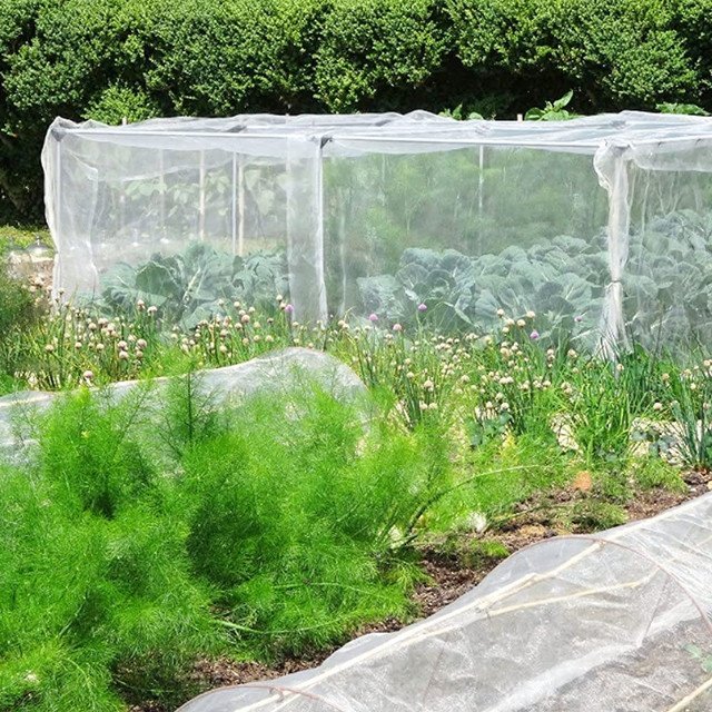 Plastic anti bird/Hail/Insect net, plants protection net manufacturer for agriculture greenhouse
