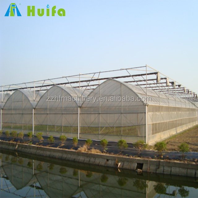 Multi-span Agricultural Film Sheet Greenhouse with Tomato Growing System Large Plant Nursery