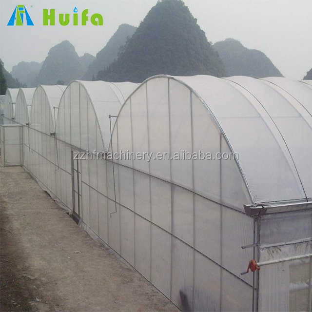 Multi-span Agricultural Film Sheet Greenhouse with Tomato Growing System Large Plant Nursery