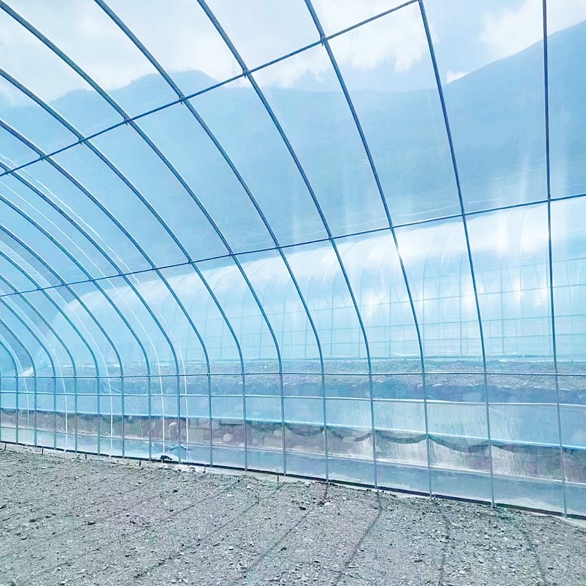 Large Chinese Agriculture Greenhouse 200 Micron Plastic Covering Hydroponic Multi-Span Tomatoes Single Layer Motor Ventilation