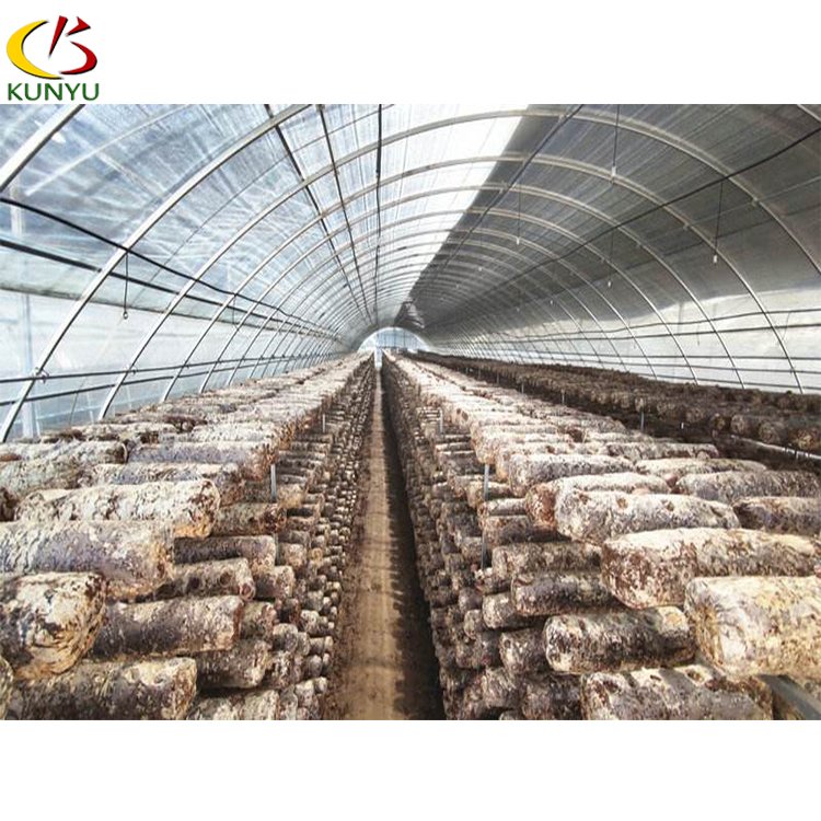 Lightness Film Covering Greenhouse Agricultural Mushroom Grow Lighting in Low Cost