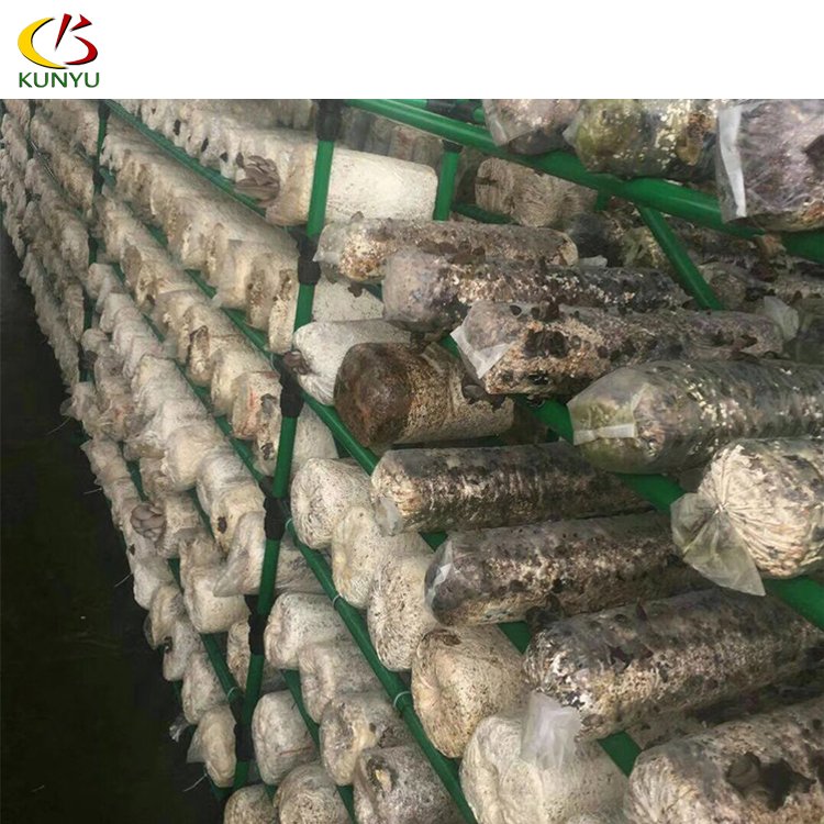 Lightness Film Covering Greenhouse Agricultural Mushroom Grow Lighting in Low Cost