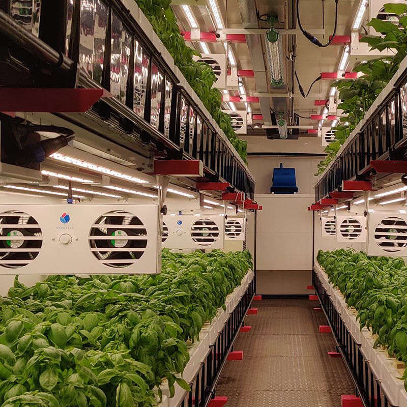 Modern Agriculture Container Farming 40HQ Grow Container Aeroponic Container Farm