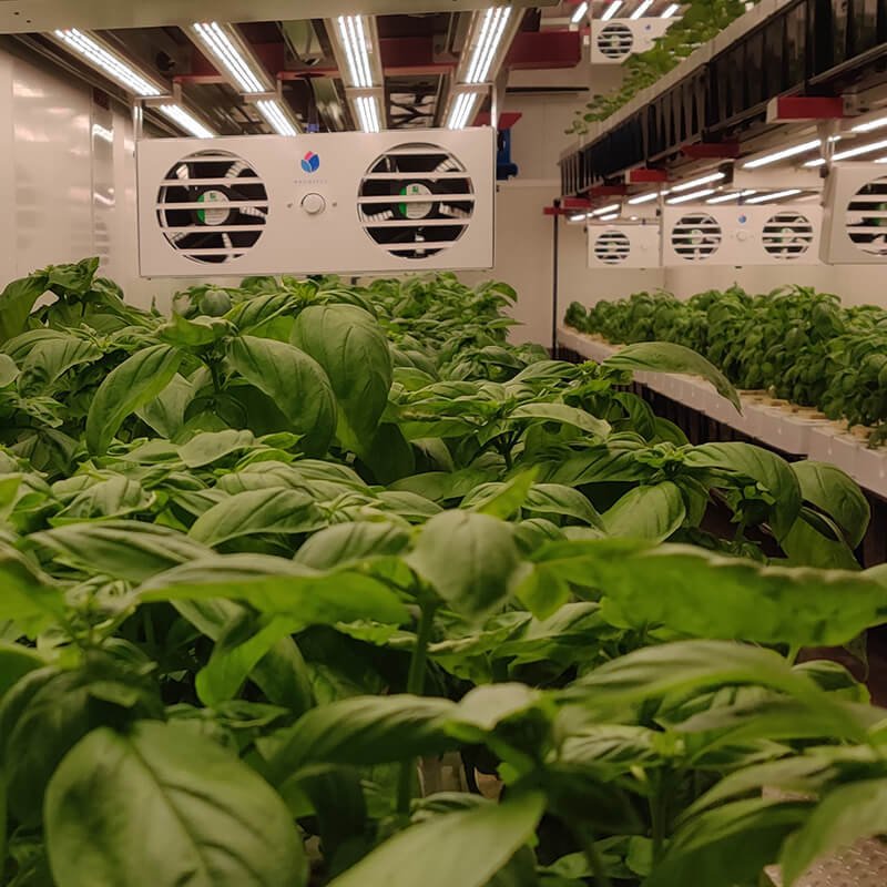 Modern Agriculture Container Farming 40HQ Grow Container Aeroponic Container Farm
