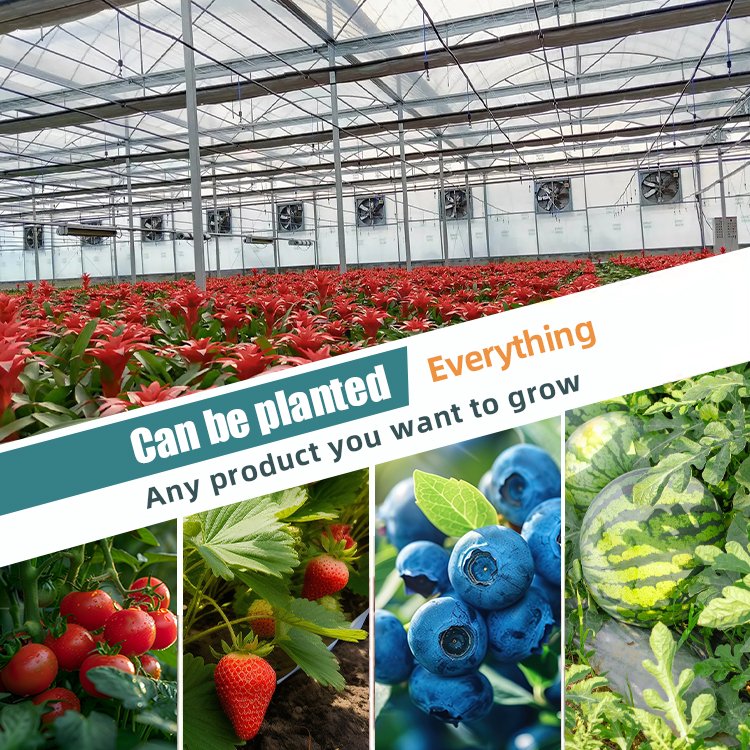 outdoor green house metal frame farming agriculture commercial large multi-span plastic greenhouse for plants