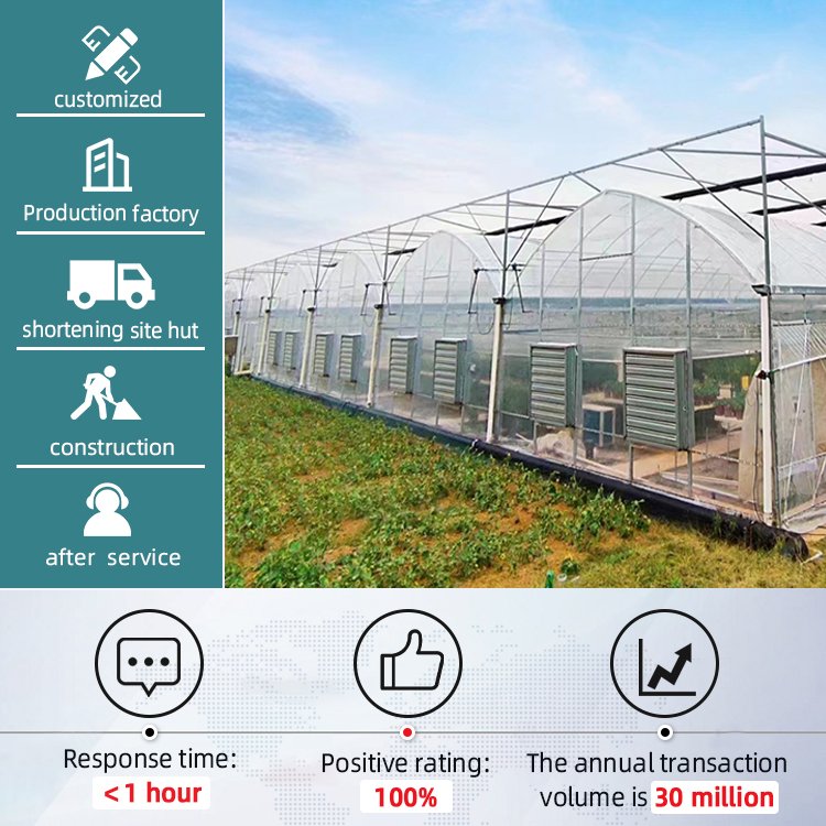 outdoor green house metal frame farming agriculture commercial large multi-span plastic greenhouse for plants