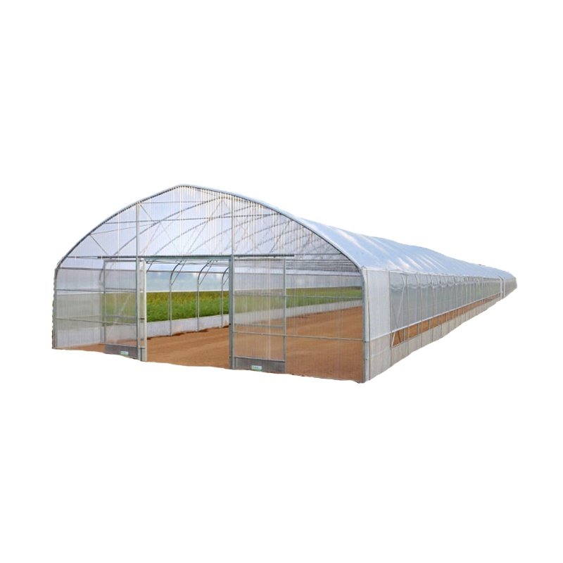 Greenhouses for vegetables, fruits and flowers