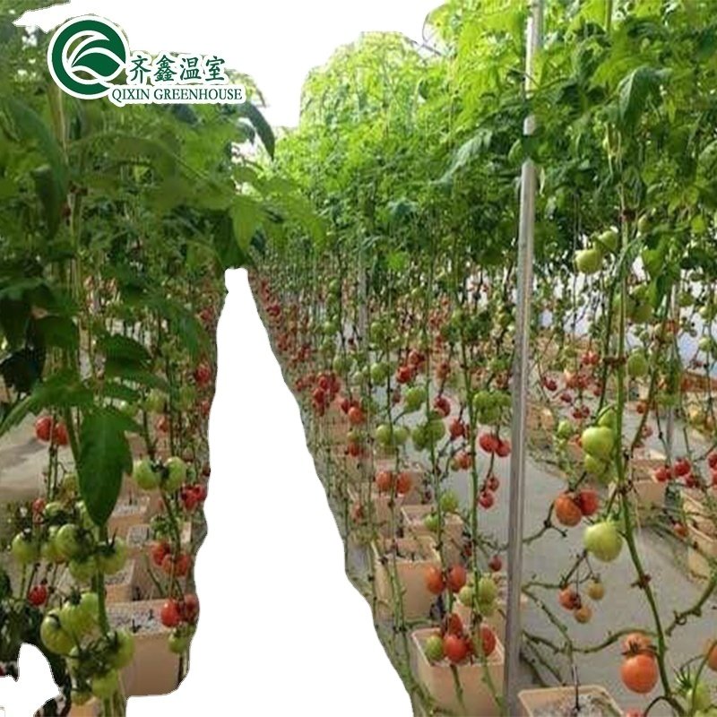 Greenhouses for vegetables, fruits and flowers