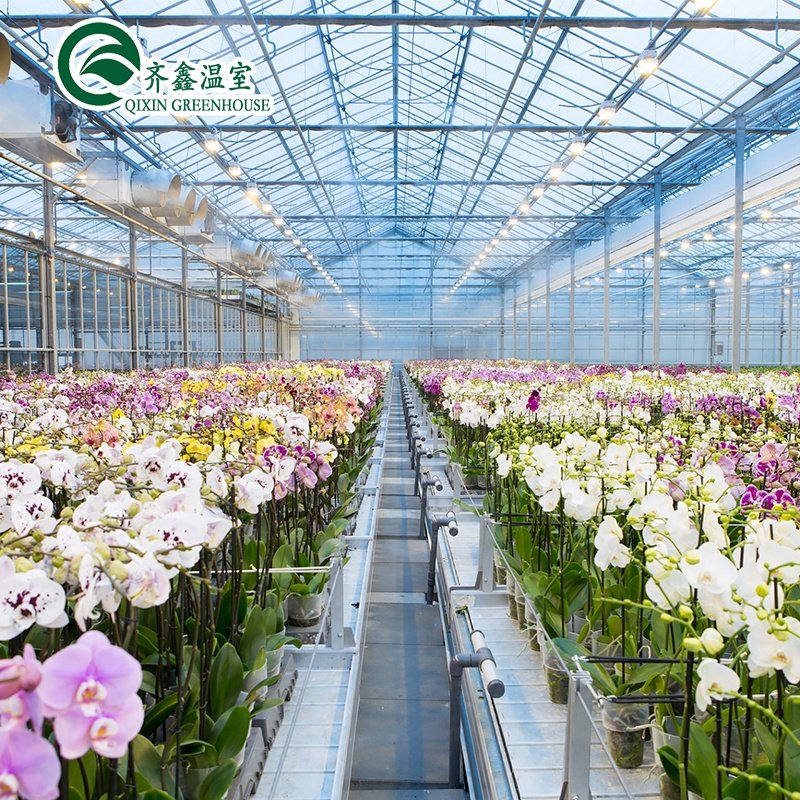 Greenhouses for vegetables, fruits and flowers