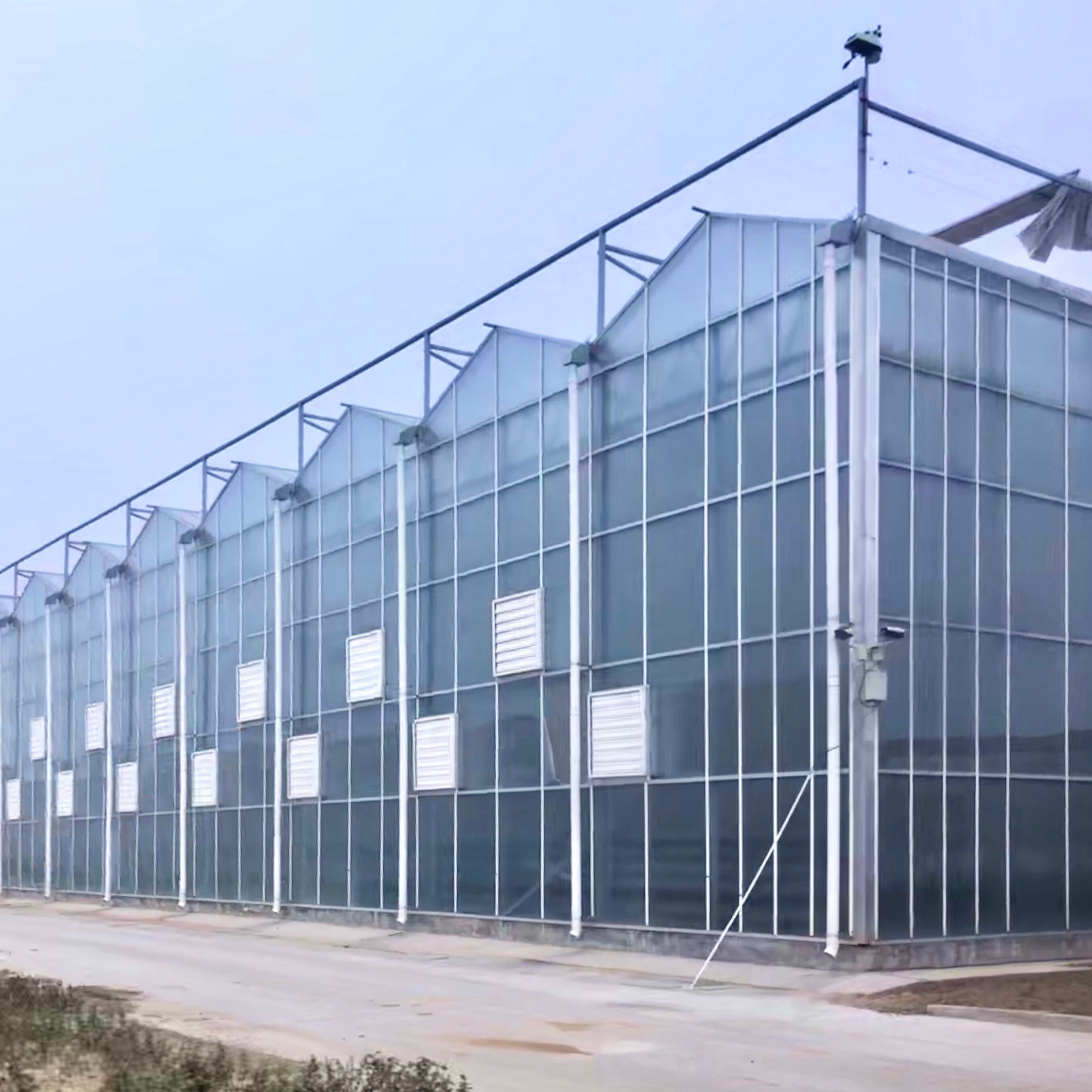 Strawberry Growing Agriculture Products Greenhouses Mexico Invernadero Farm With Heating Equipment