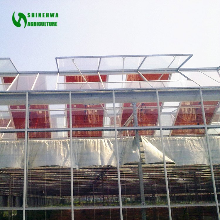 Strawberry Growing Agriculture Products Greenhouses Mexico Invernadero Farm With Heating Equipment