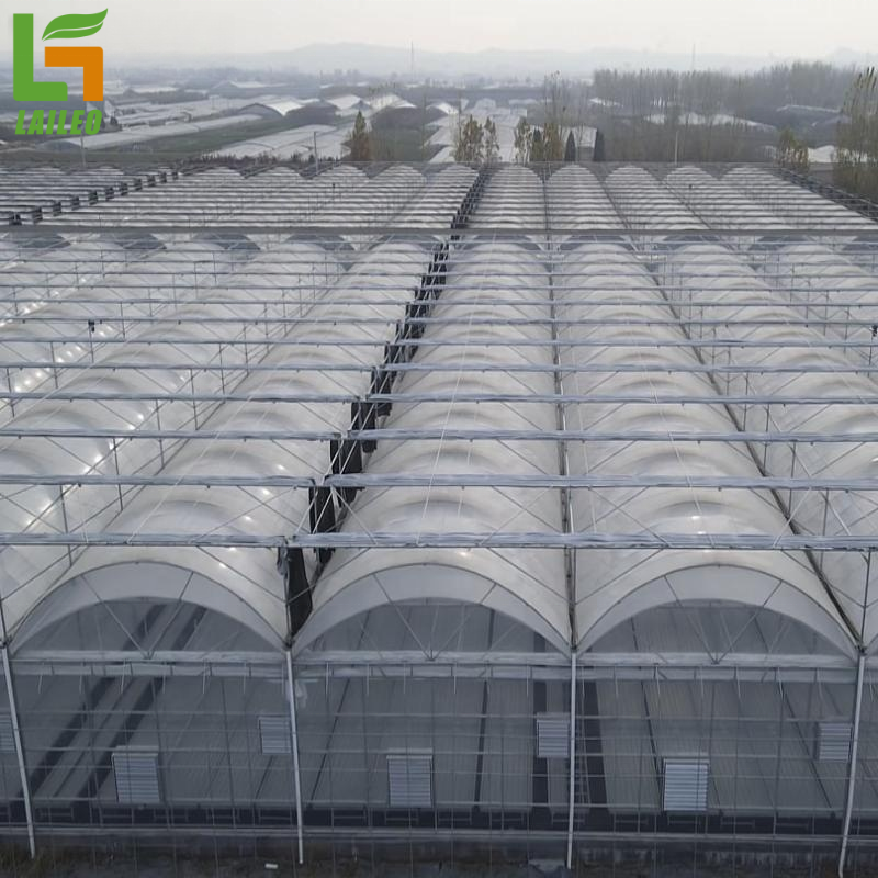 Agriculture Multi-Span Plastic/ Film Greenhouse Tomato Greenhouse And Strawberry Greenhouse