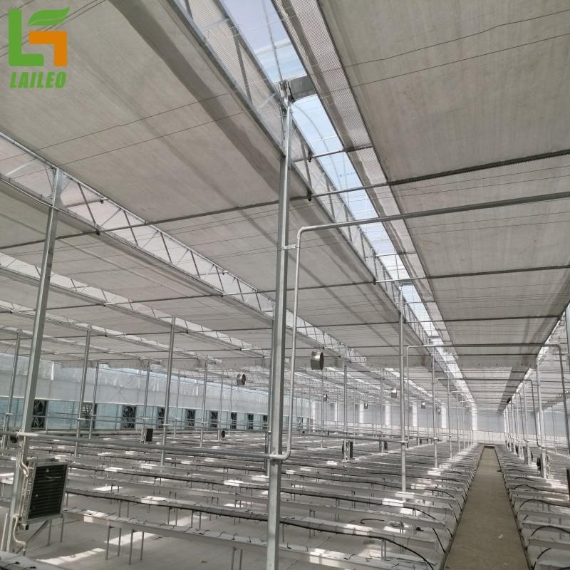 Agriculture Multi-Span Plastic/ Film Greenhouse Tomato Greenhouse And Strawberry Greenhouse