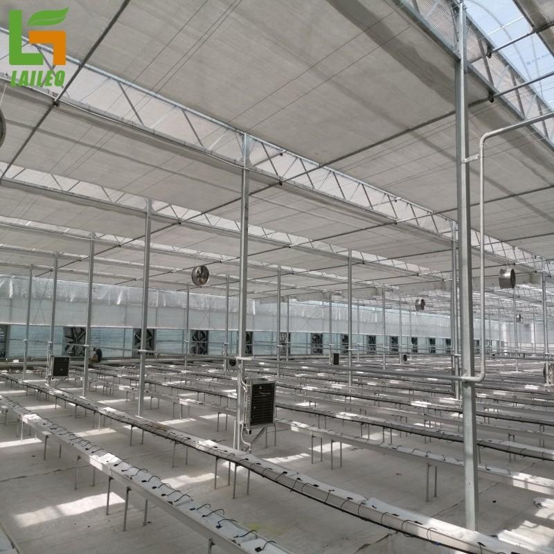 Agriculture Multi-Span Plastic/ Film Greenhouse Tomato Greenhouse And Strawberry Greenhouse