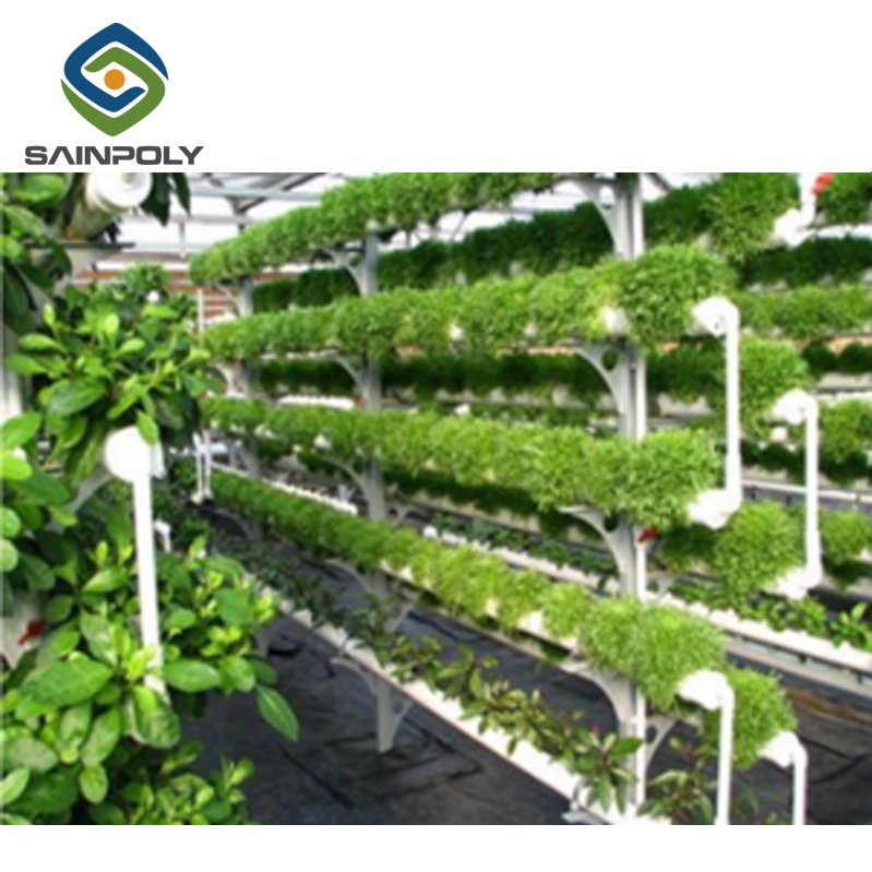 The Cheapest Sainpoly Aquaponic System Greenhouse