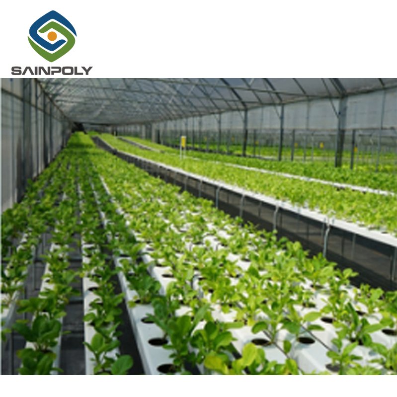 The Cheapest Sainpoly Aquaponic System Greenhouse