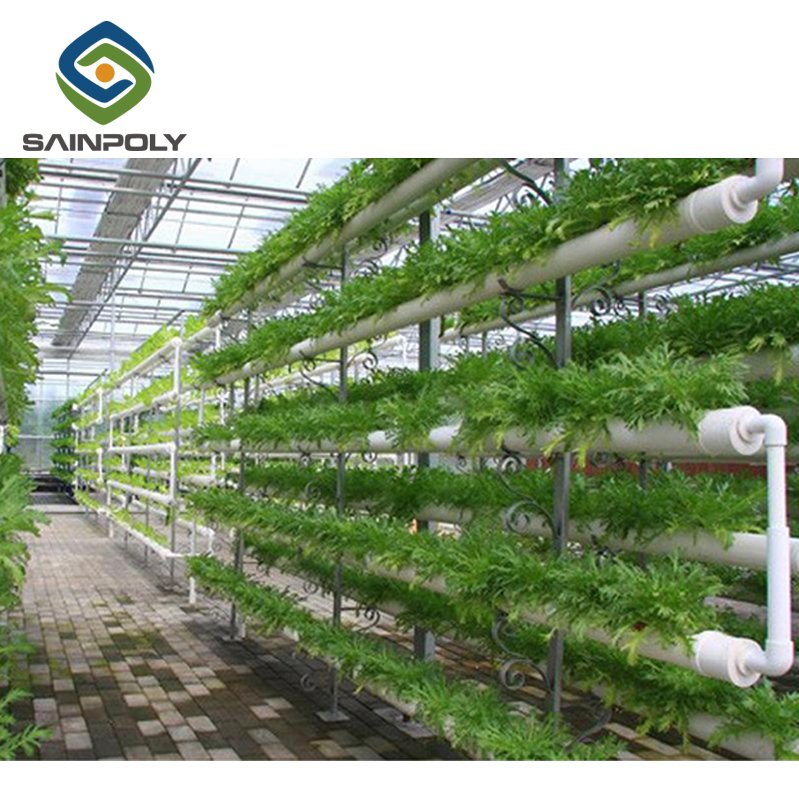 The Cheapest Sainpoly Aquaponic System Greenhouse