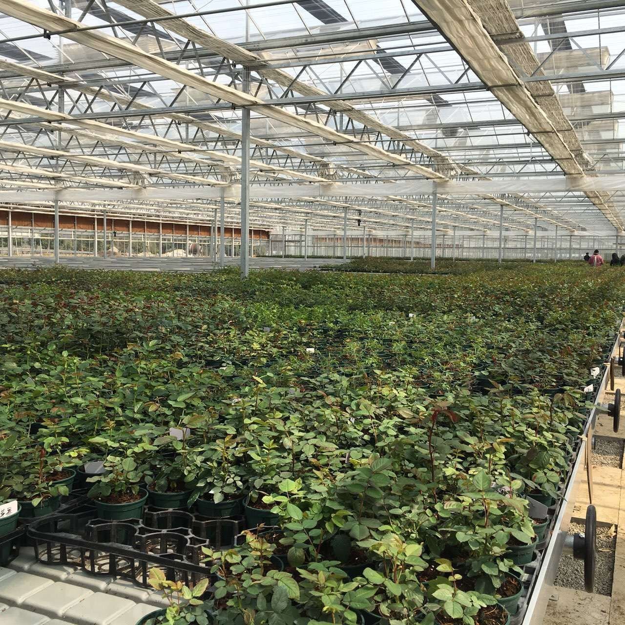 Clear Agricultural Uv Protection Plastic Film Green house