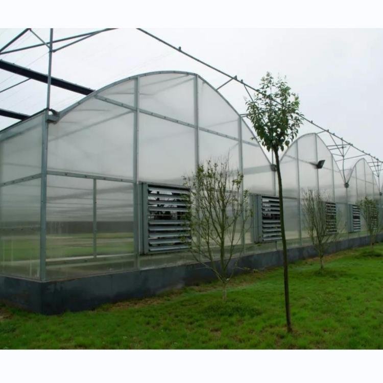 Cheap Agriculture Vegetables Hydroponic Systems Equipment Multi-Span Plastic Film Greenhouse