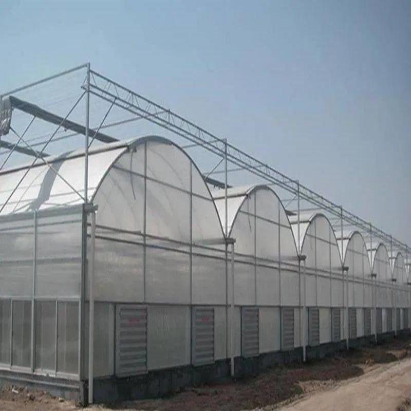 Cheap Agriculture Vegetables Hydroponic Systems Equipment Multi-Span Plastic Film Greenhouse