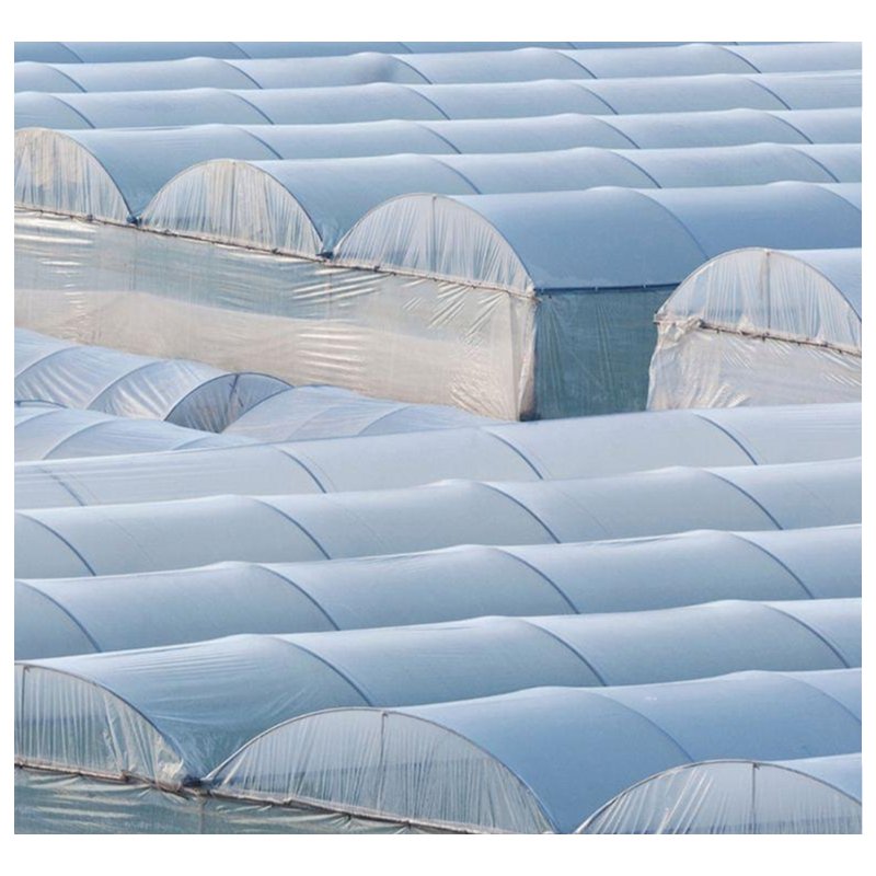 Indoor Plant Farming with Agricultural Greenhouses for Growing and Cultivating Vegetables Fruits Flowers and Herbs